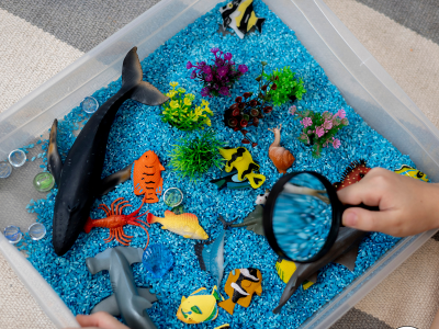 DIY Sensory Bins Oct 6-Oct 22