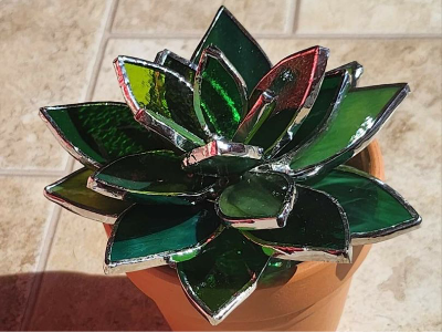 4 Week Stained Glass - Succulents 